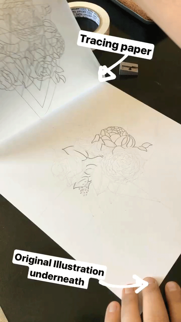 How to Use Tracing Paper to Transfer an Inked Illustration to Watercolor  Paper
